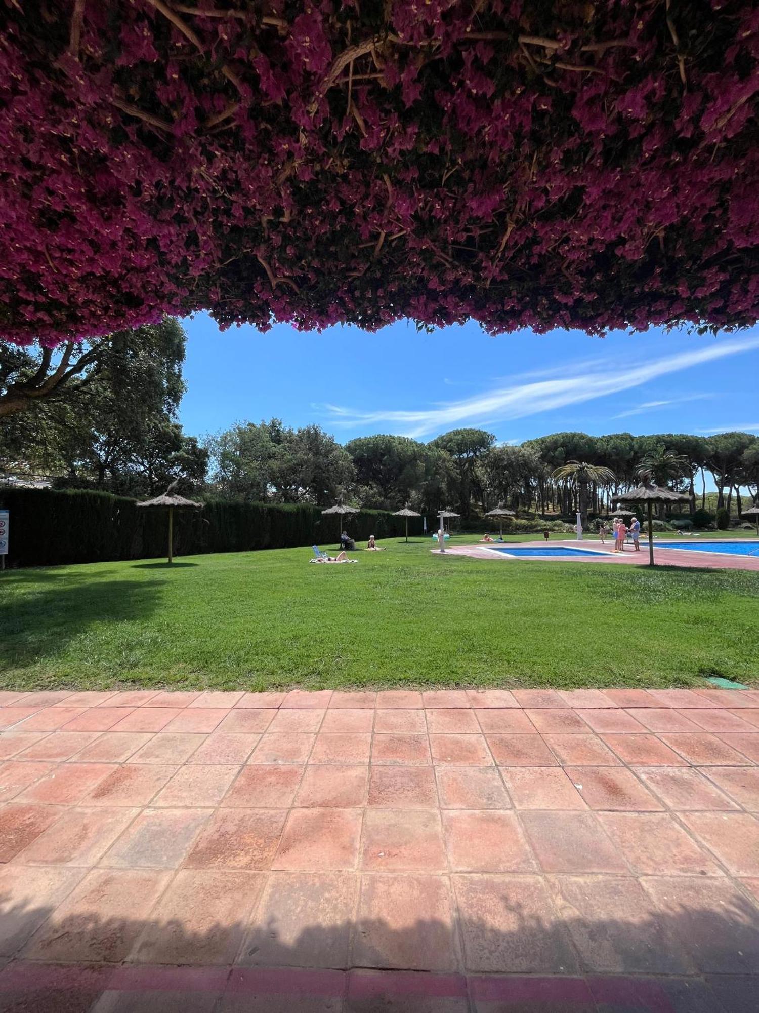 Calella De Palafrugell - Piso Reformado Con Piscina, Wifi Y Parking Gratuito Apartman Kültér fotó